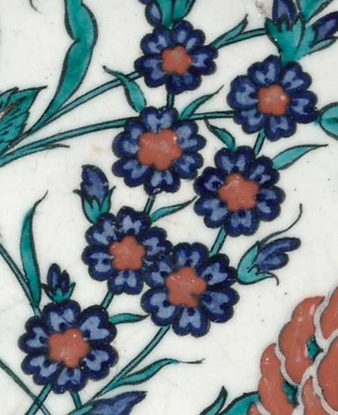 The blue flowers