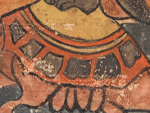 The tortoise's shell