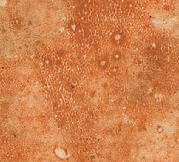 The burnt-orange ground